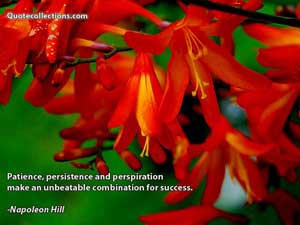 napoleon_hill_quotes Quotes 3
